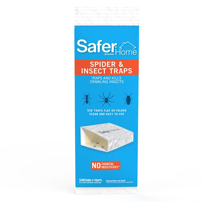 Spider & Insect Glue Board Traps