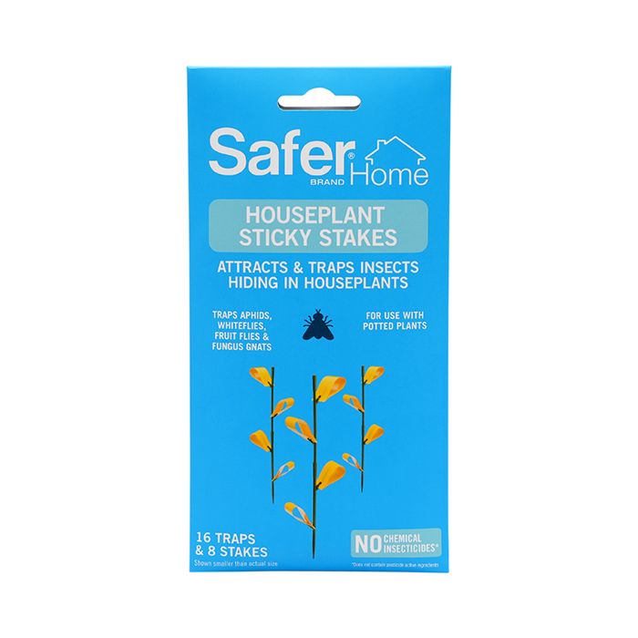 Safer Brand Insect Traps at