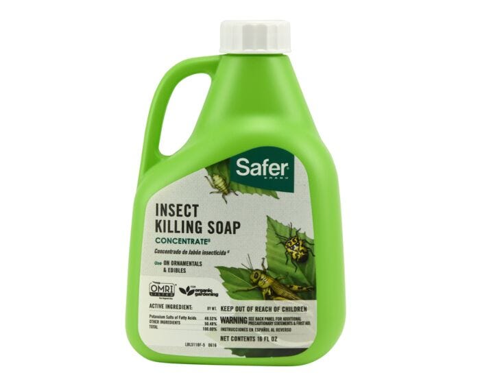 Safer® Brand Insect Killing Soap Concentrate - 16 oz