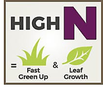 High N equals Fast Green Up & Leaf Growth