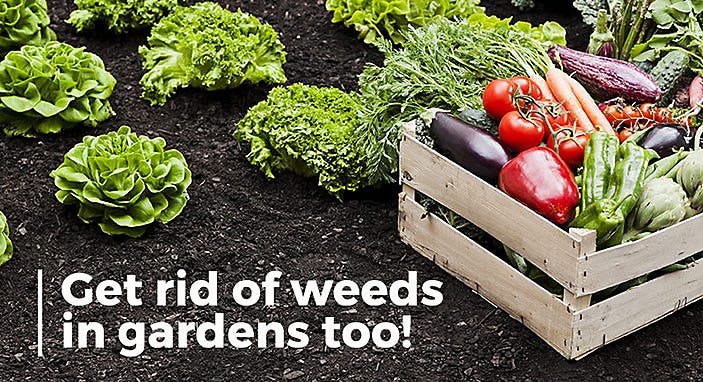 Get rid of weeds in gardens too