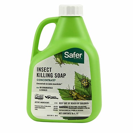 Safer Insect Killing Soap 16oz