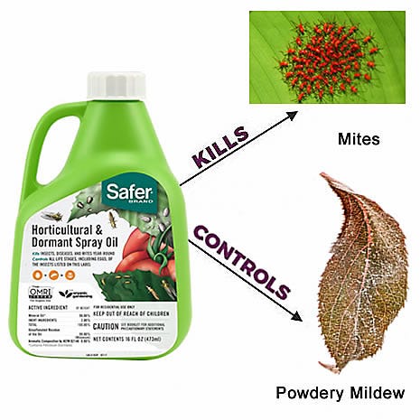 Multi-use garden spray