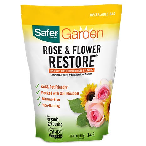 Rose and flower restore