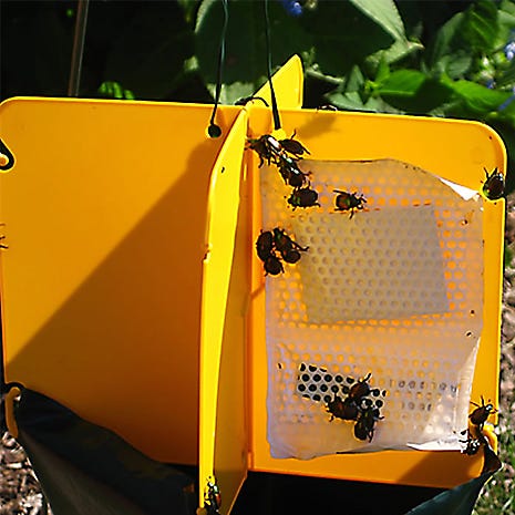 Safer Brand The Japanese Beetle Trap
