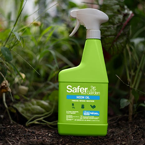 Safer® Brand Garden Neem Oil – 24 oz