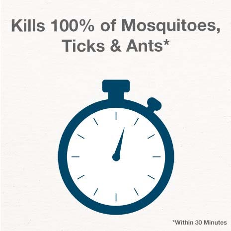 Quick-Kill Formula Targets Many Insects