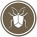 Killing hard bodied insects