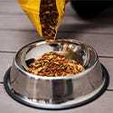 The Pantry Pest® Trap - 2-16 Traps