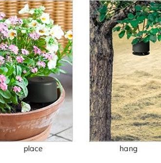 Place in flowerpot, Hang in tree