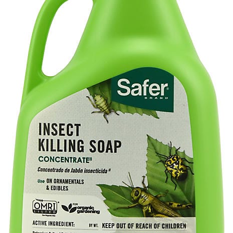 Kills Insects on Contact