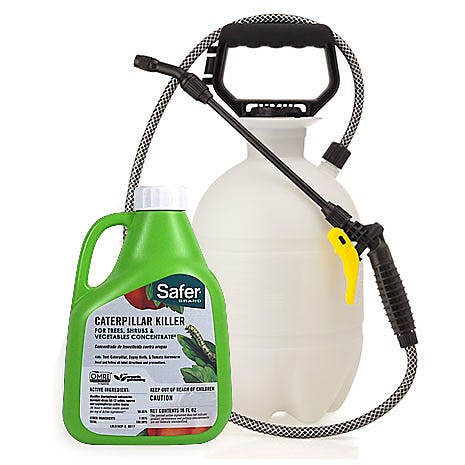 Safer® Brand Caterpillar Killer II Concentrate -16 oz