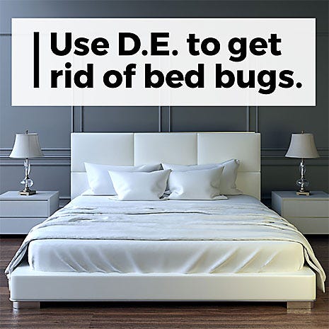 A Solution for Bed Bugs