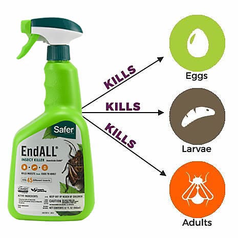 Kills Insects on Contact