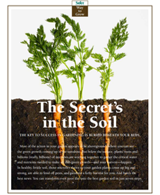 The Secret's In the Soil