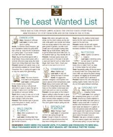 The Least Wanted List