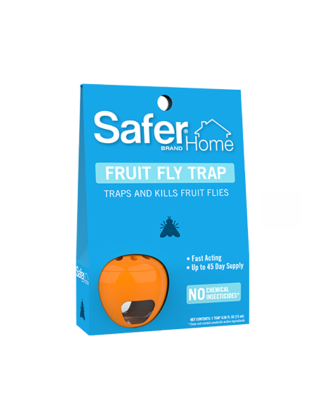 Safer Home Fruit Fly Trap