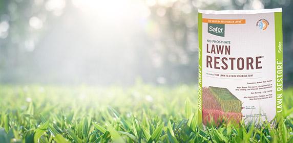 Safer Brand Lawn Restore