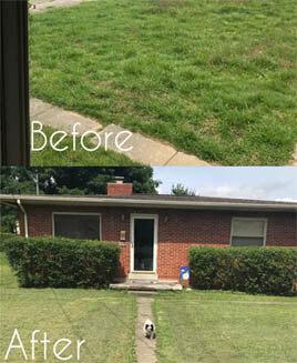 Yard, before and after Lawn Restore.