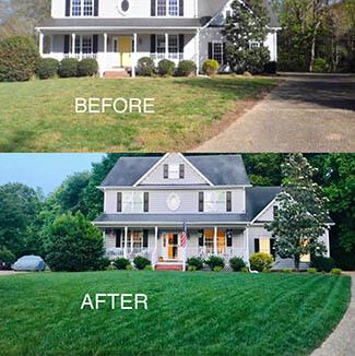 Yard, before and after Lawn Restore.