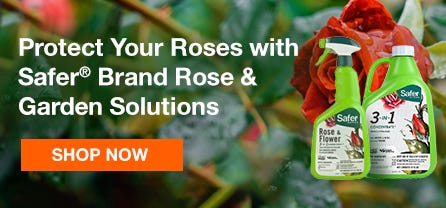 Protect Your Roses with Safer Brand Rose & Garden Solutions