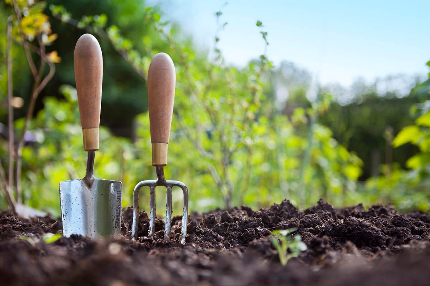 Garden tools upright in rich, dark soil