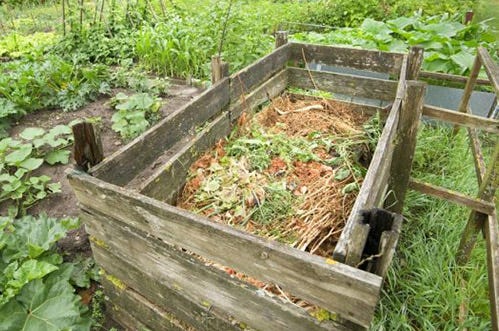 Compost pile