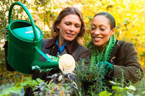 Two women wattering plants outdoors