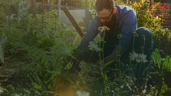 A man working in his garden