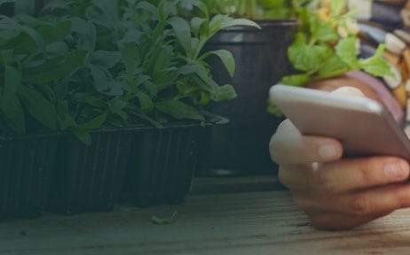 A woman reading about her plants on her mobile phone