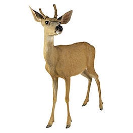 A Deer