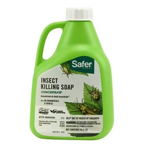 Safer® Brand Neem Oil Concentrate -16 Oz