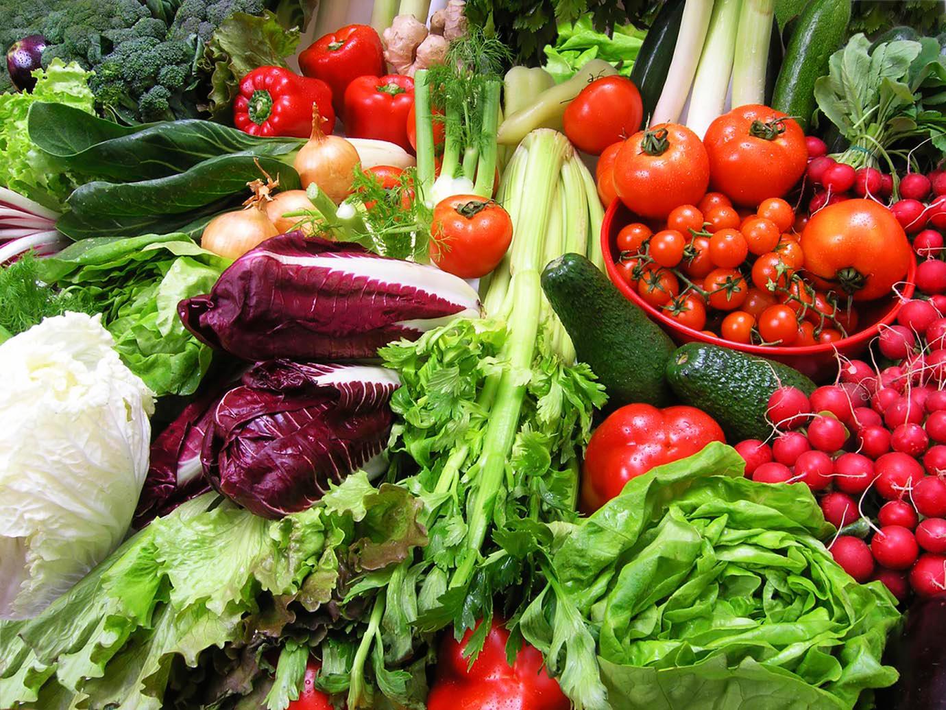 a selection of fresh organic vegetables: lettuce, tomatoes, peppers, etc