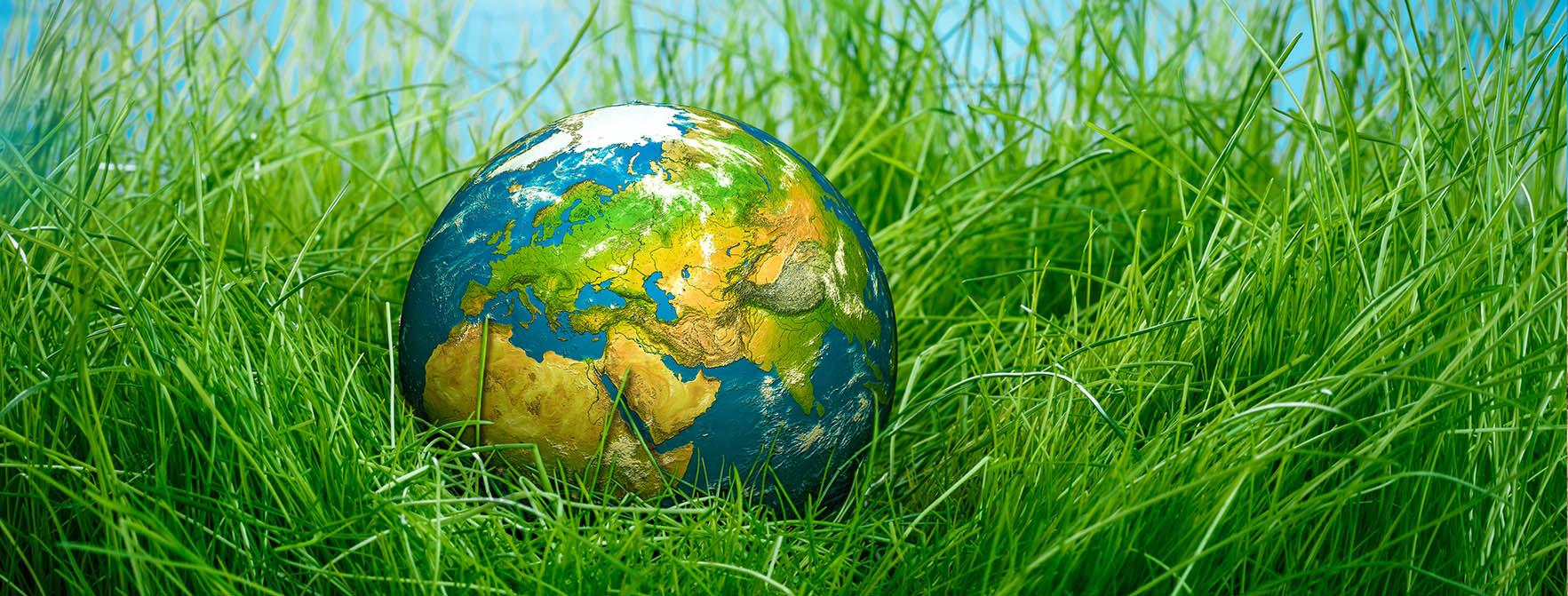 Illustration of a globe sitting in a bed of long, lush green grass