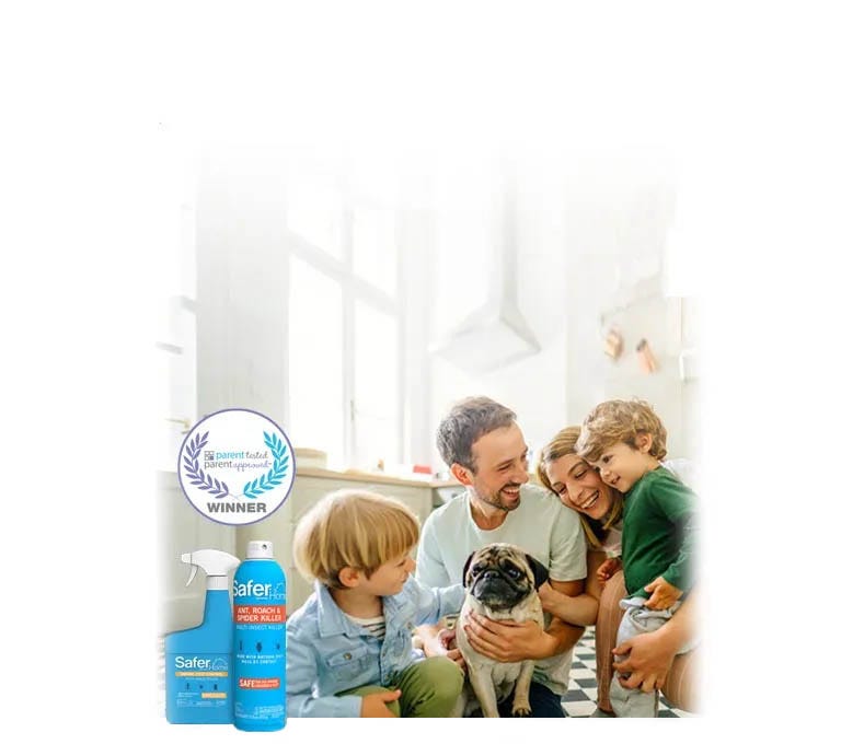 A family petting their cute but grumpy-looking dog