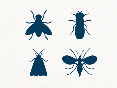 Traps flies, fruit flies, moths, gnats & more