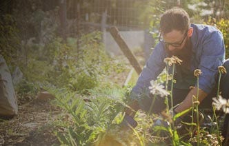 Gardening 101