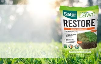 Lawn Restore