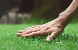 Seasonal Lawn Care Tips